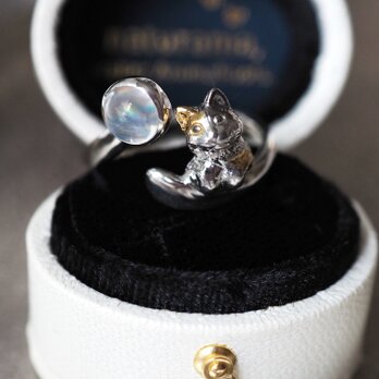 レインボームーンストーン三毛猫リング