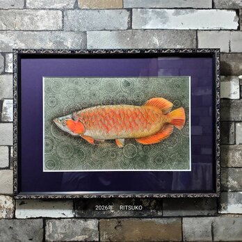 原画 ボールペン画 日本人作家 色鉛筆画 絵画 絵 アート 額入り 現代アート インテリア アロワナ サングリア 古代魚