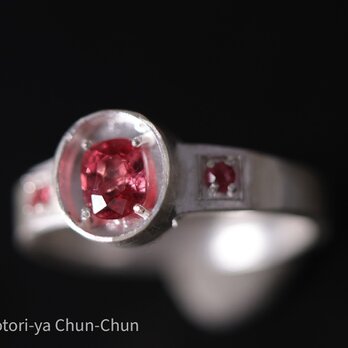 【能鷹シリーズ】ヴェトナム産スピネル＆ビルマ産パパラチアカラースピネル・能鷹リング【炎鷹】