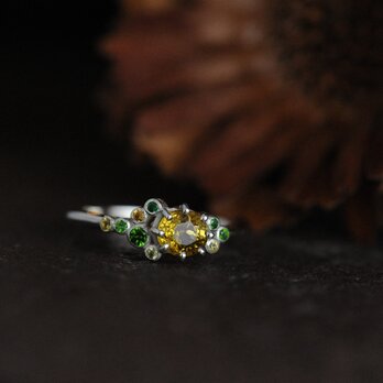 From Bloom to Verdure