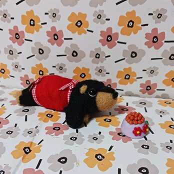 羊毛フェルト ダックスフント　チェックリボンの赤い服　餌付き
