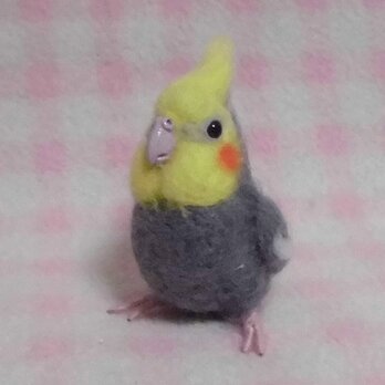 * ミニミニサイズ　可愛い ノ－マル グレ－　オカメインコ　羊毛フェルト　*受注作成品　うちの子オーダー可　工房小鳥屋さん