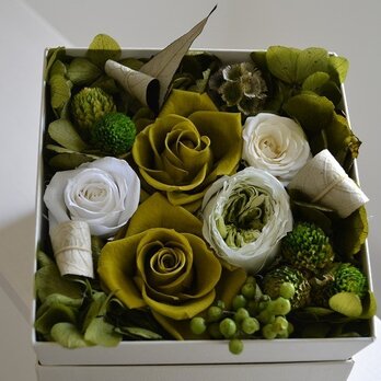 Flower Box (グリーン）の画像