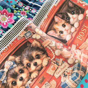 POSTの中からワンちゃん猫ちゃん兄弟＆USコットンVera Bradley ピンストライプ巾着ポーチ/