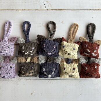Kitten Sachet Plus #3