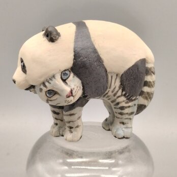 sadapachiさま専用　 ベルセルク