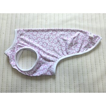 犬服　【受注制作品】ウィペット用接触冷感ニットのタンクトップ
