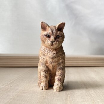 森から訪れた小さな相棒(木彫りブリティッシュショートヘア）