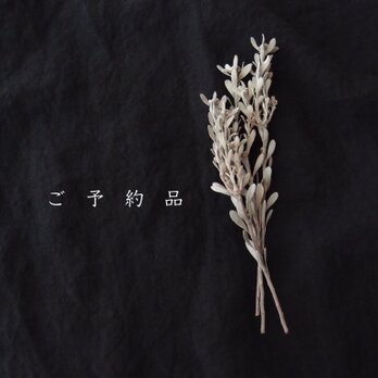 【ご予約品・K様】【K14gf】 Baby Baroque Pearl Asymmetry Earrings／Gray