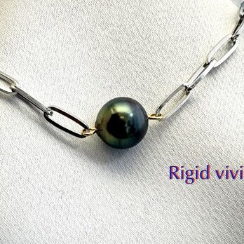 Rigid vivid（リジッド ヴィヴィッド）