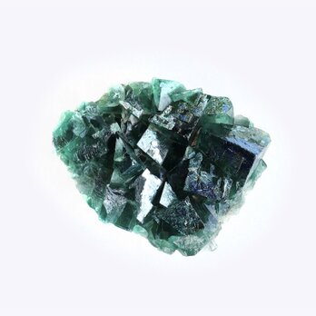 「人間の星」No.8〔一点もの〕Size-M