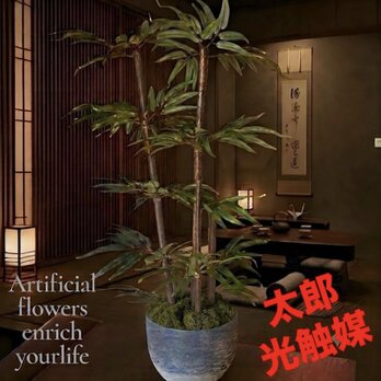 光触媒　人工観葉植物　ウォールグリーン　フェイクグリーン　黒竹