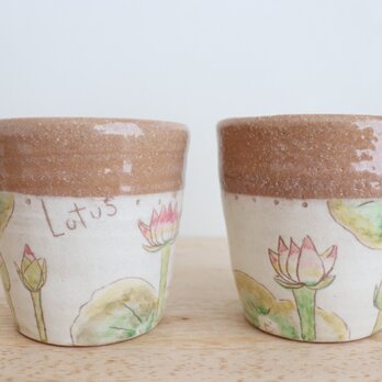 Free cup ～蓮～ たっぷりサイズ