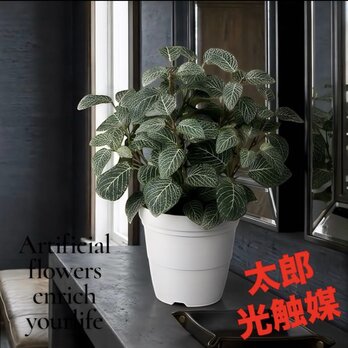 光触媒　人工観葉植物　ウォールグリーン　フェイクグリーン　フィットニア