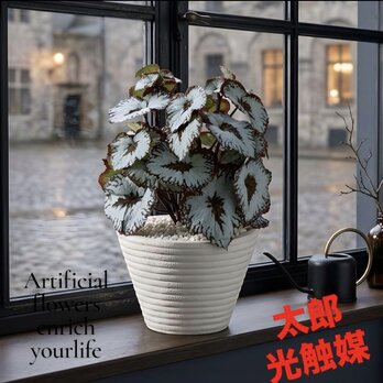 光触媒　人工観葉植物　ウォールグリーン　フェイクグリーン　ベコニア