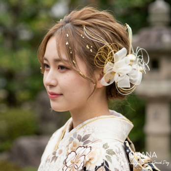 水引＆オーガンジーリボンの髪飾りセット 成人式 振袖 卒業式 袴 結婚式 和装 七五三 (和玉カラー変更可) OHANA