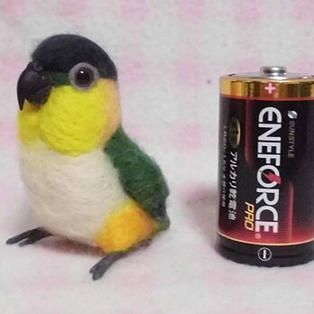 ミニミニサイズ　可愛い ズグロシロハラインコ　羊毛フェルト　*受注作成品　うちの子オーダー可　工房小鳥屋さん　メモリアル