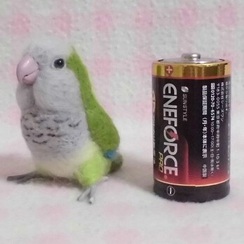 ミニミニサイズ　可愛い オキナインコ　グリ－ン インコ　羊毛フェルト　*受注作成品　うちの子オーダー可　工房小鳥屋さん