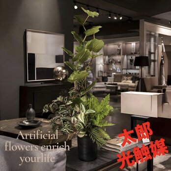 光触媒　人工観葉植物　ウォールグリーン　フェイクグリーン　シーグレープトラカン