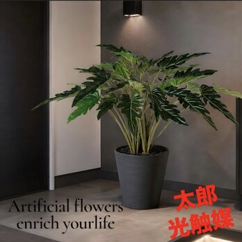 光触媒　人工観葉植物　ウォールグリーン　フェイクグリーン　クッカバラ