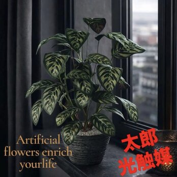 光触媒　人工観葉植物　ウォールグリーン　フェイクグリーン　クテナンテ Pラウンド