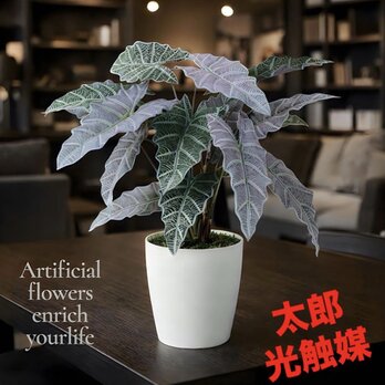 光触媒　人工観葉植物　ウォールグリーン　フェイクグリーン　２色アローカシア 50