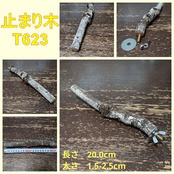 止まり木（枝：TOY-08-015）T623