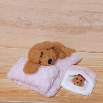 ダックスママ疲れちゃったんだね　羊毛親子・布団セット　羊毛