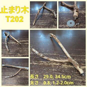 止まり木（枝：TOY-08-015）T210