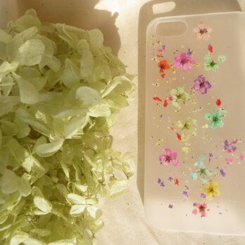 iPhone5 5s【半透明】キャンディーフラワーの画像
