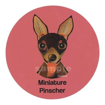 ミニチュア ピンシャー/ブラウン《犬種名ステッカー/小型犬》の画像