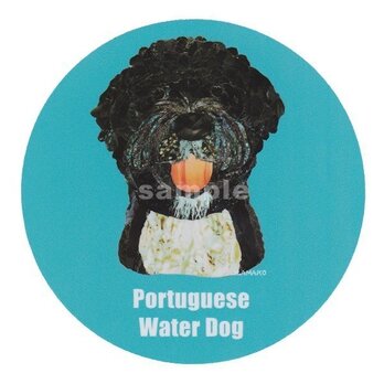 ポーチュギーズ ウォータードッグ《犬種名ステッカー/中型犬》の画像