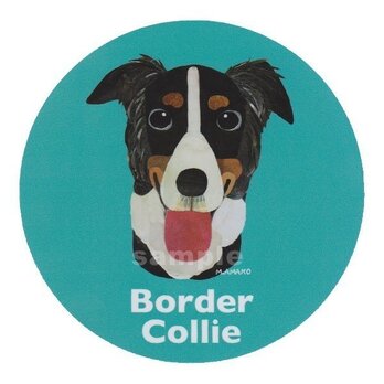 ボーダー コリー/トライカラー《犬種名ステッカー/中型犬》の画像