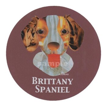 ブリタニー スパニエル《犬種名ステッカー/中型犬》の画像