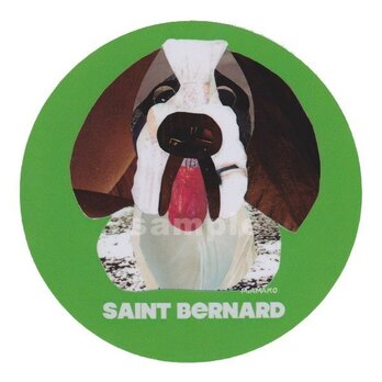 セント バーナード《犬種名ステッカー/大型犬》の画像
