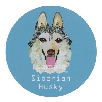 シベリアン ハスキー/シルバー２《犬種名ステッカー/中型犬》の画像