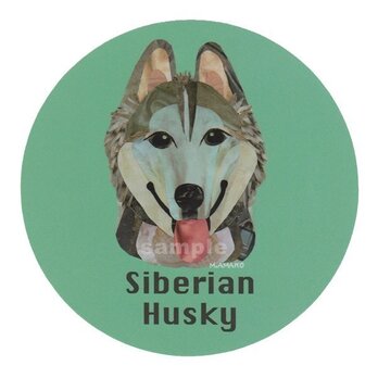 シベリアン ハスキー/シルバー１《犬種名ステッカー/中型犬》の画像