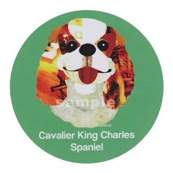 キャバリア キングチャールズ スパニエル《犬ステッカー/小型犬》の画像