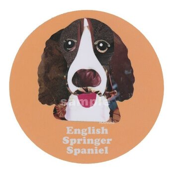イングリッシュスプリンガースパニエル《犬種名ステッカー/中型犬》の画像