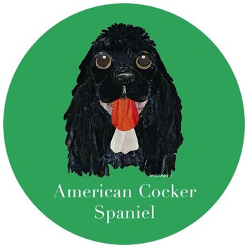 アメリカン コッカー スパニエル/黒《犬種名ステッカー/小型犬》の画像