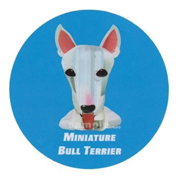 ミニチュア ブル テリア《犬種名ステッカー/小型犬》の画像