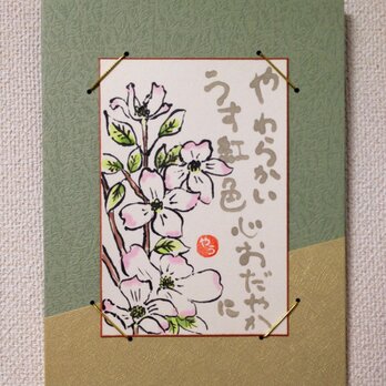 絵手紙「花水木」の画像