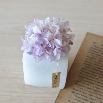 アロマなコロ丸（グラデーションパープルのアジサイ）