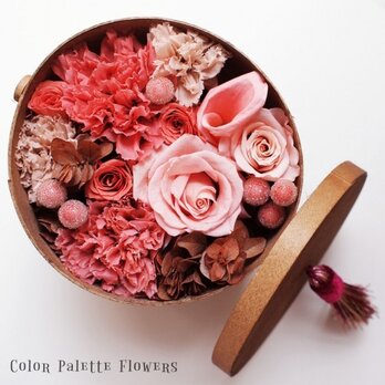 Coffret Collection/Pink Chocolatの画像