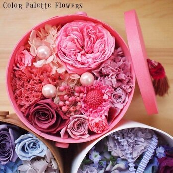 Coffret Collection/PinkFramboiseの画像