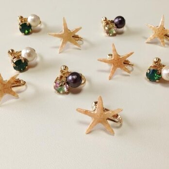 スターフィッシュ＊イヤリング