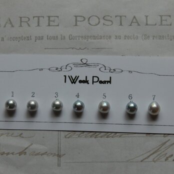 真珠７個セット（ナチュラル7.5ミリ）n.2000-6の画像