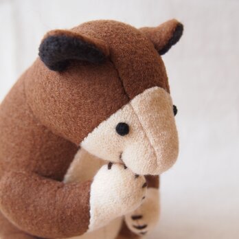 セスジキノボリカンガルーさん