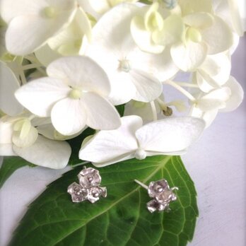 アジサイピアス Hydrangea Earringsの画像