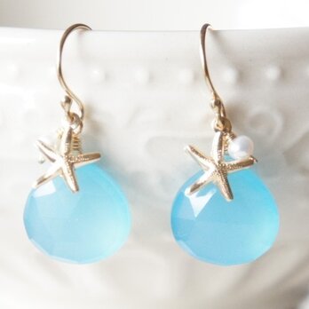 14kGF★カルセドニー＆スターフィッシュ・ピアス